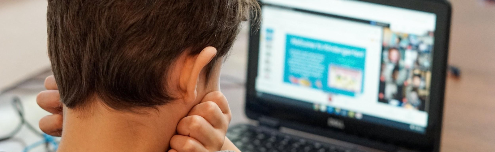 Student Learning Online